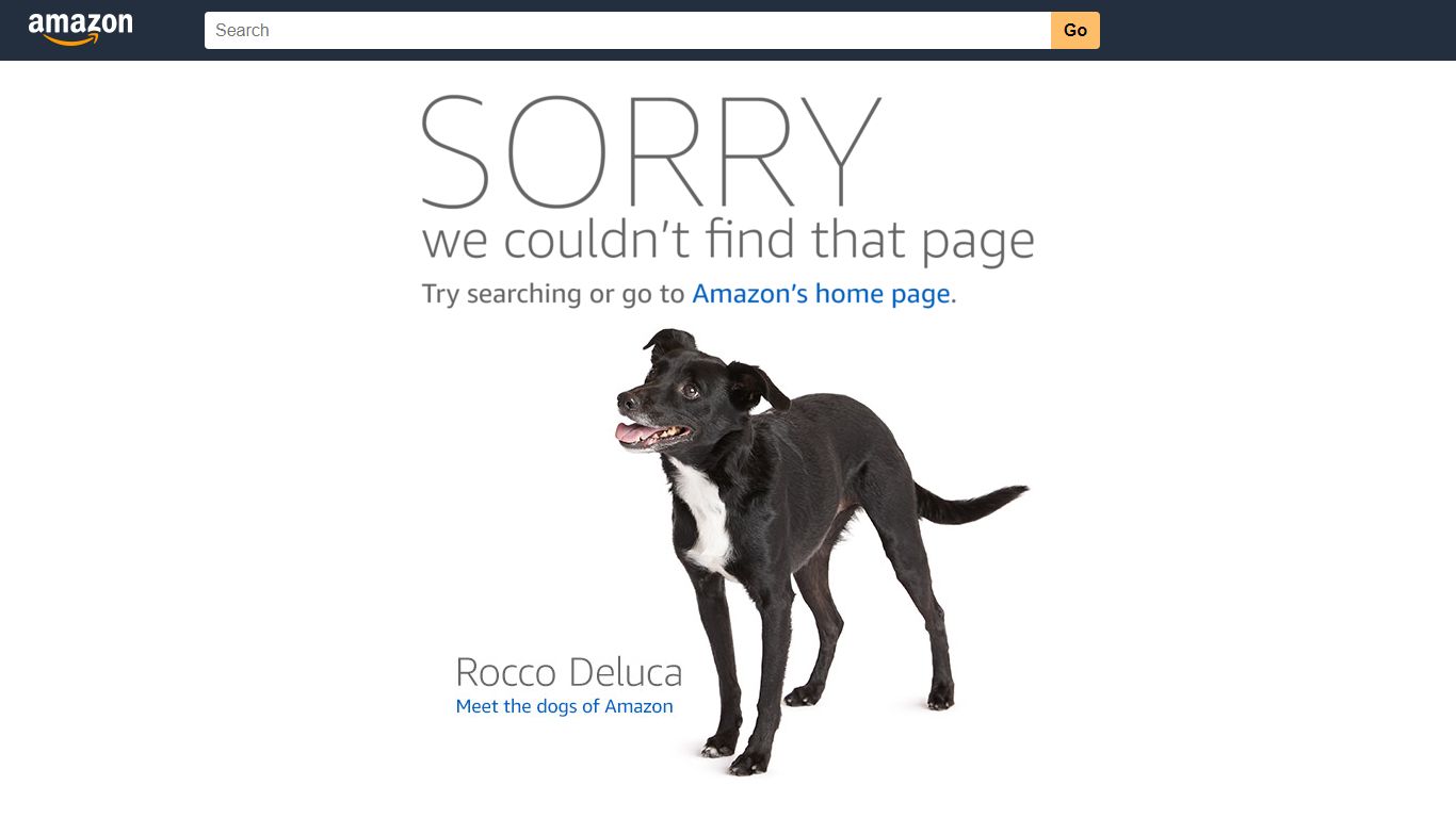Background Checks for Service Providers - Amazon Customer Service